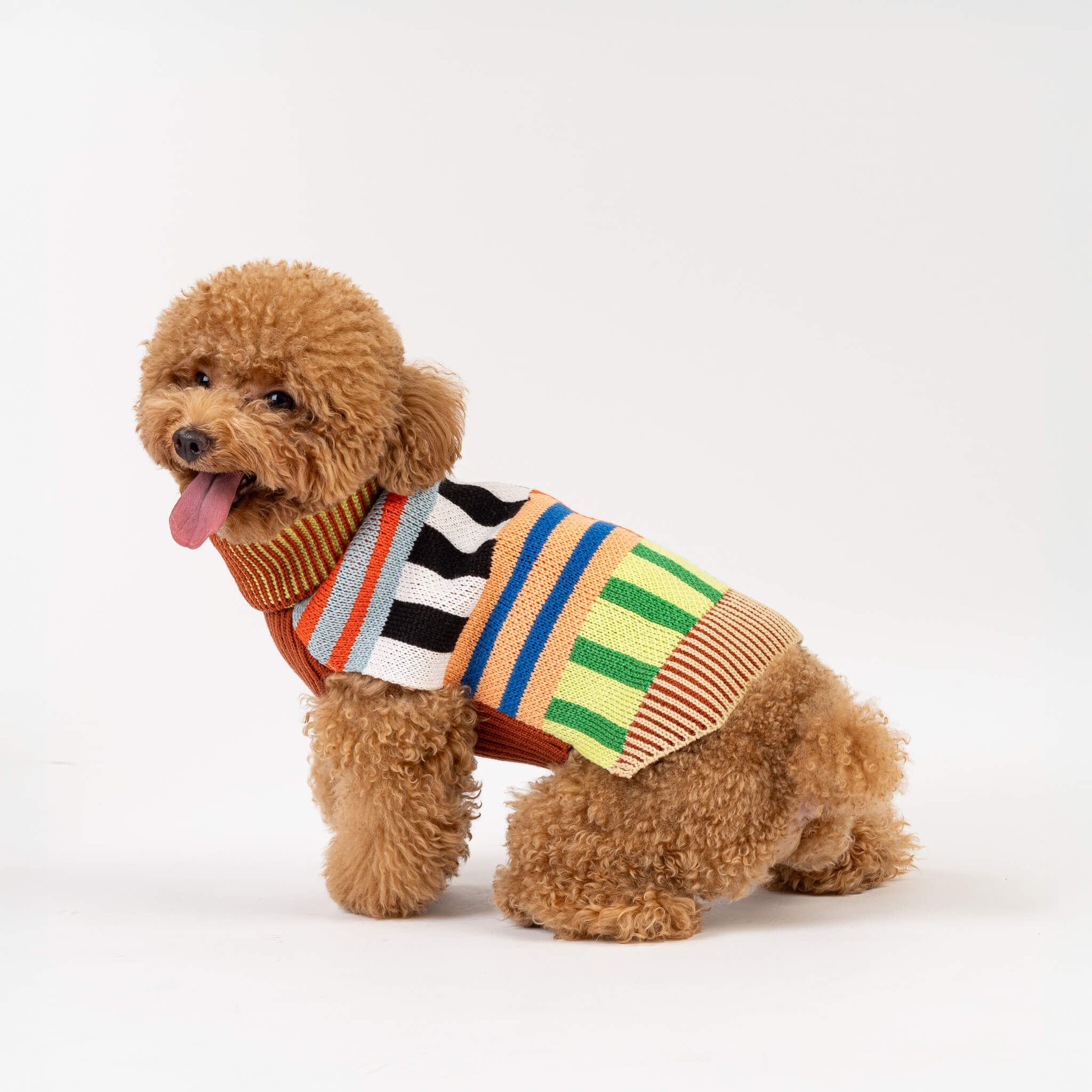 Patchwork Stripe Dog Sweater - Image 12