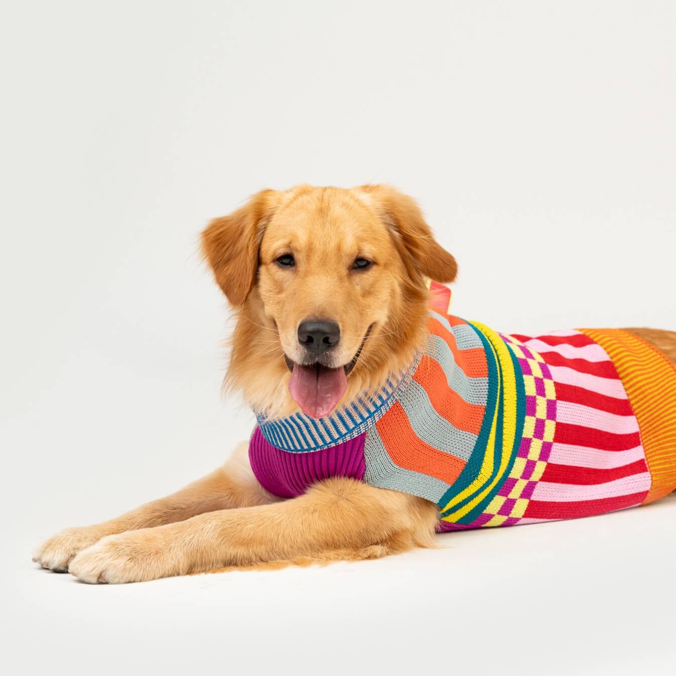 Pattern Patch Dog Sweater - Image 11