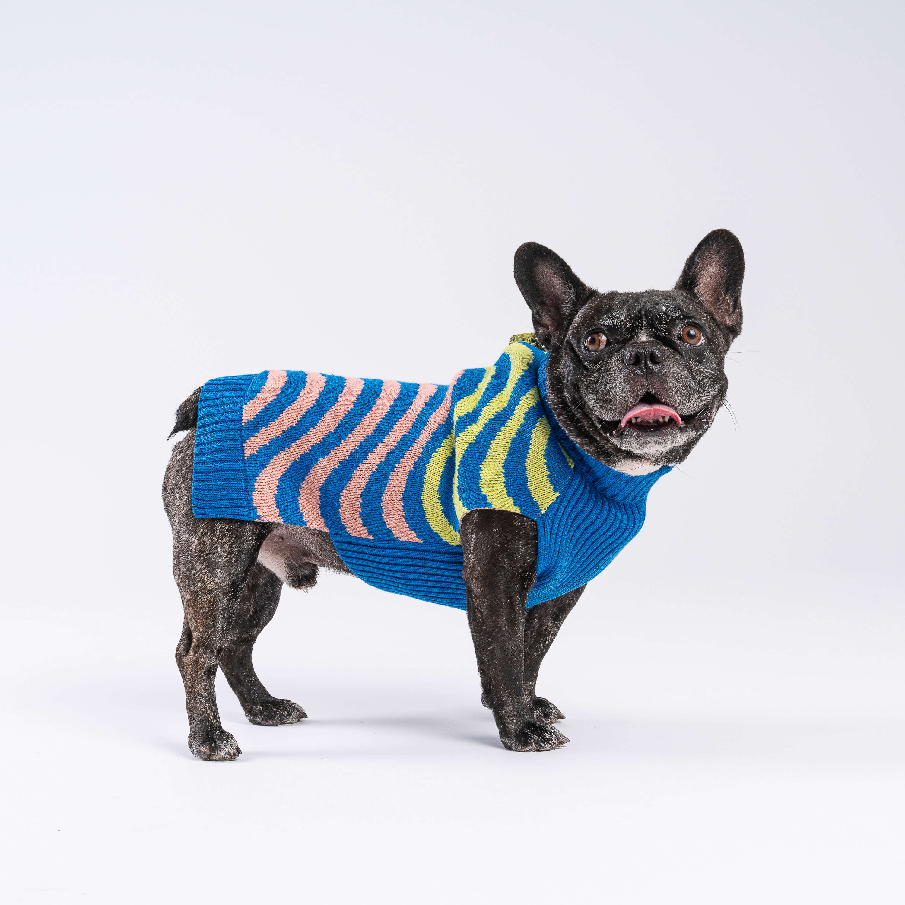 Sound Wave Dog Sweater - Image 7