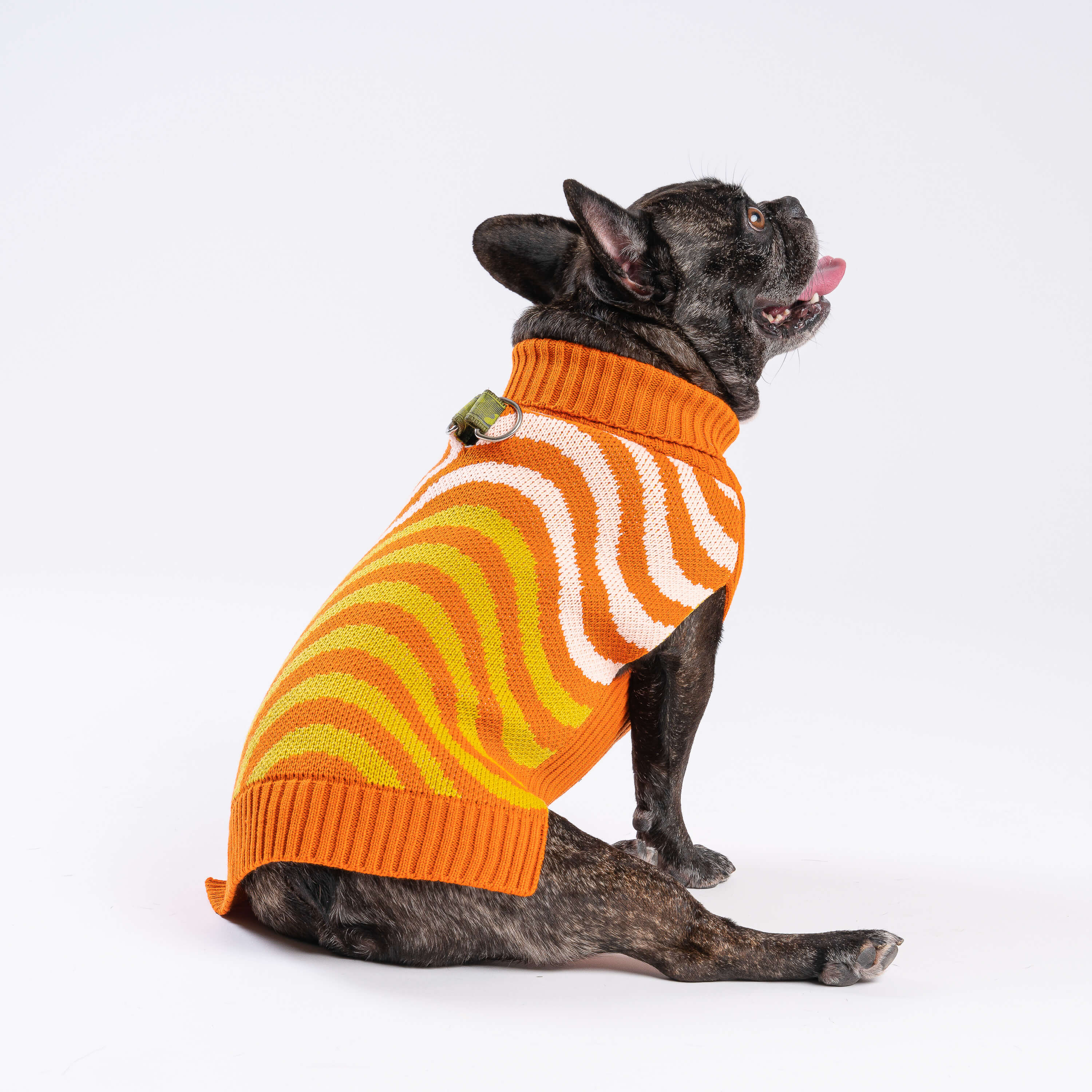 Sound Wave Dog Sweater - Image 8