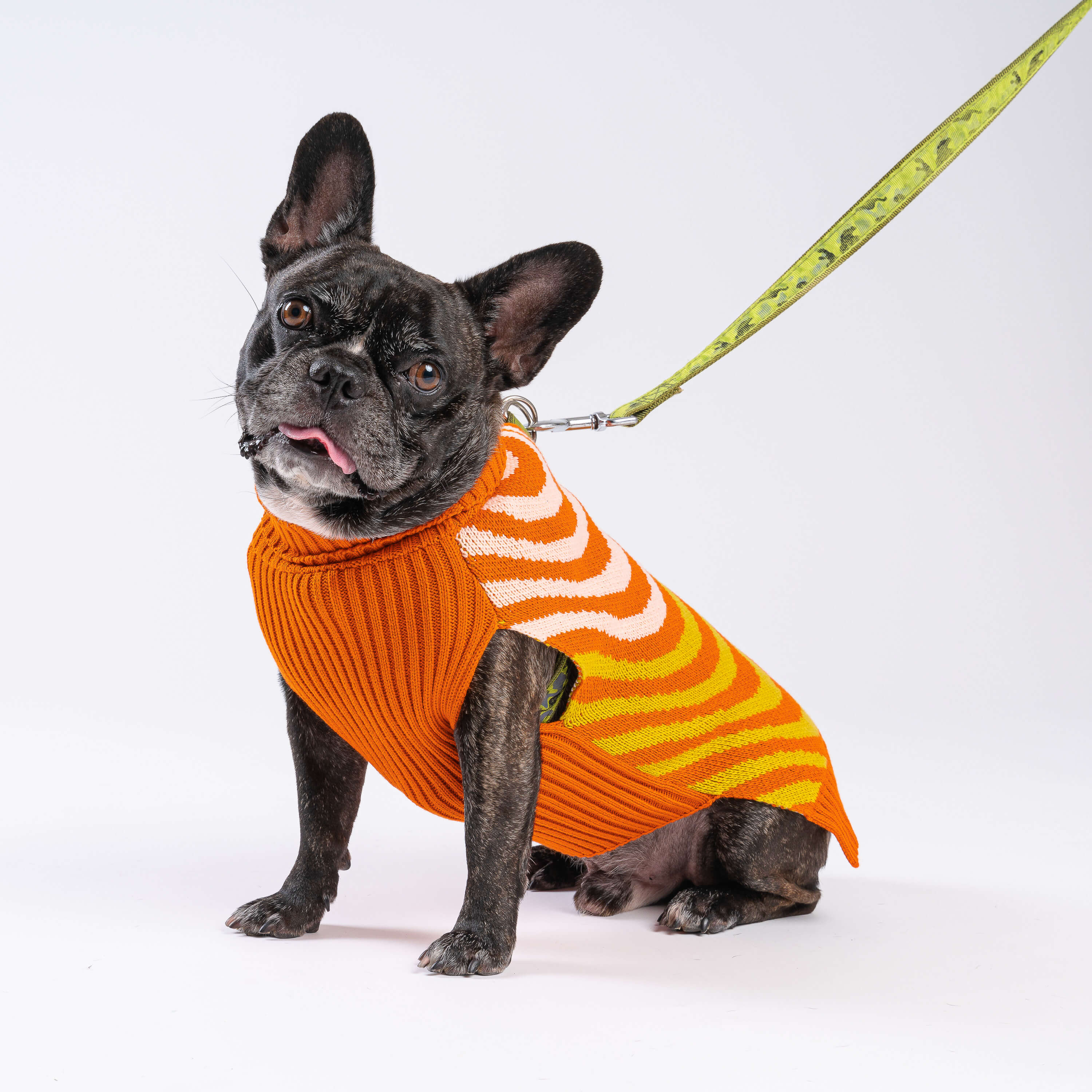 Sound Wave Dog Sweater - Image 9