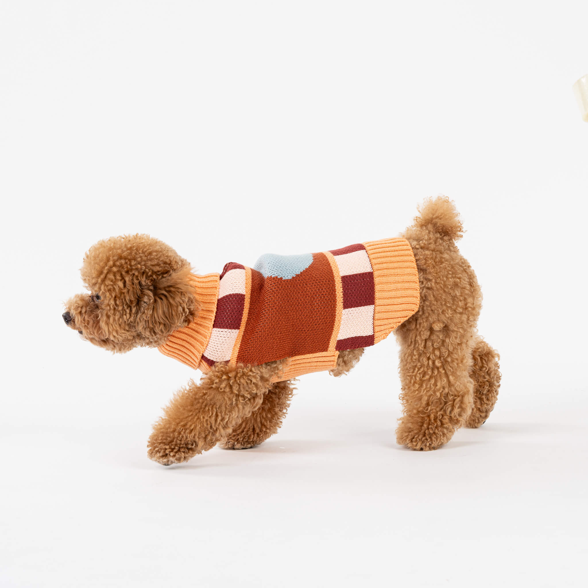 Stripe Dot Dog Sweater - Image 12