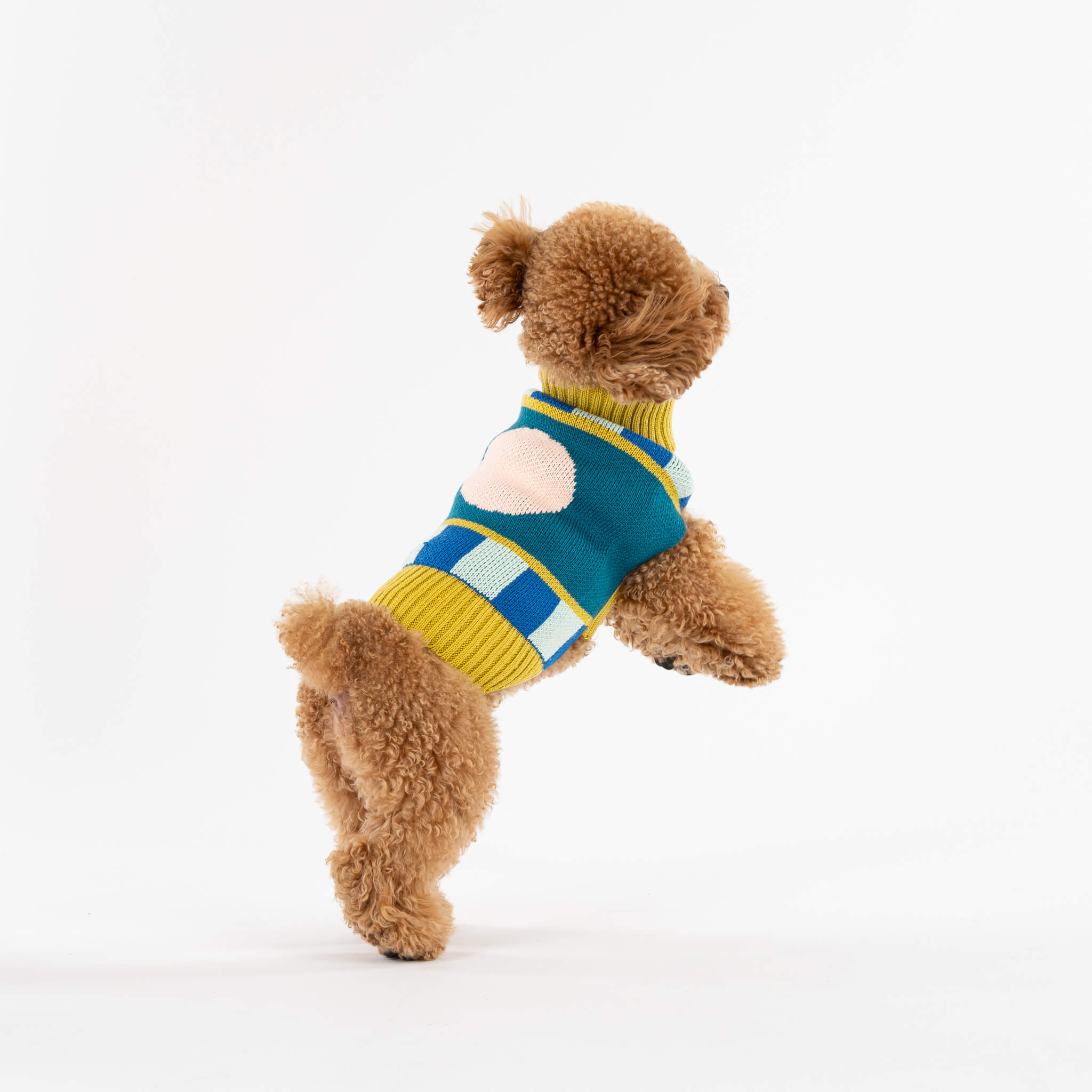 Stripe Dot Dog Sweater - Image 6